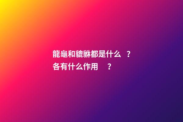 龍龜和貔貅都是什么？各有什么作用？